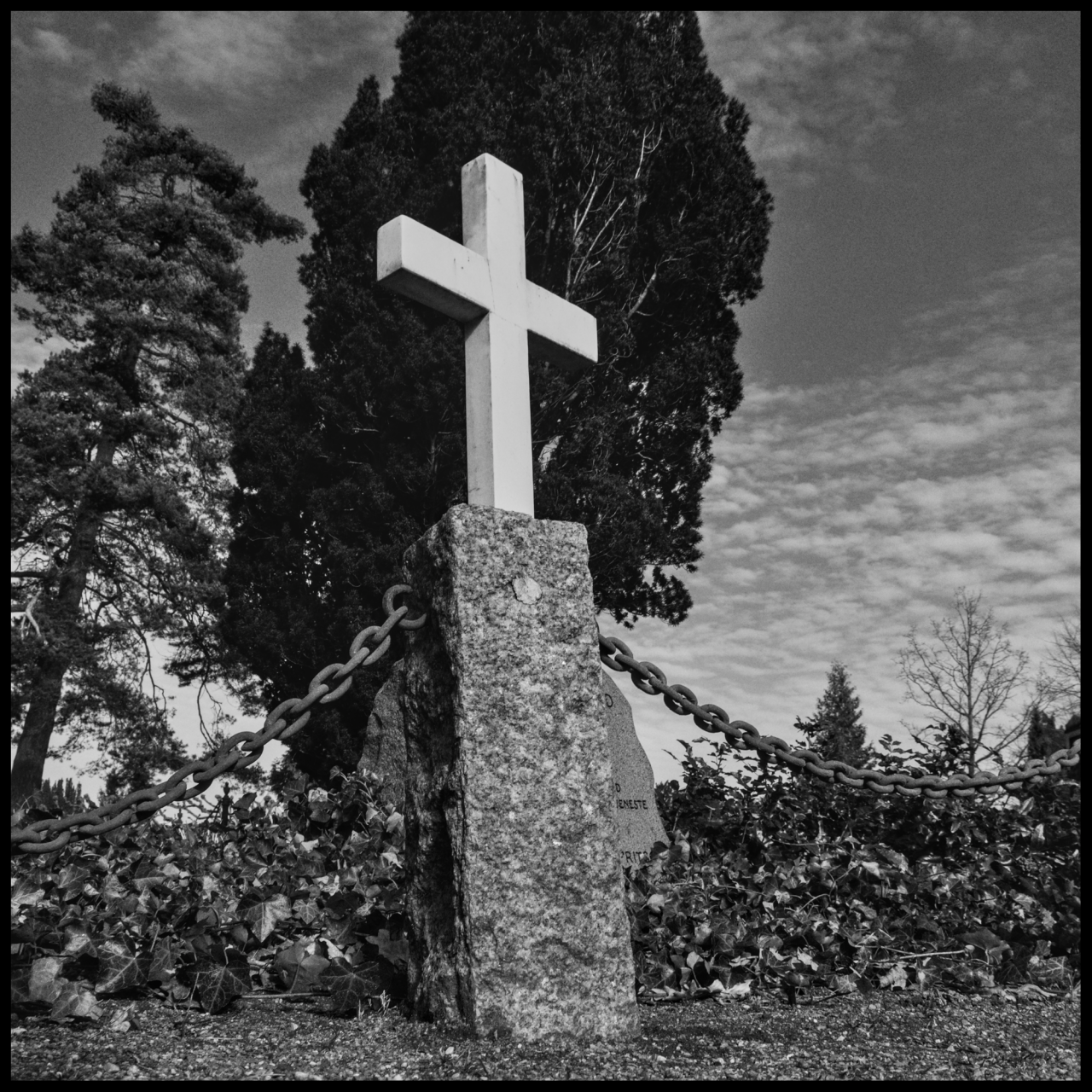 dsc-1122.png dsc-1122.png